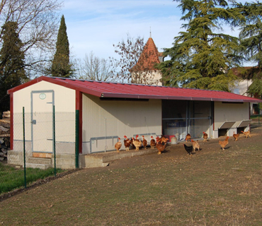 Cabane fixe 15 m² pour élevage poulet