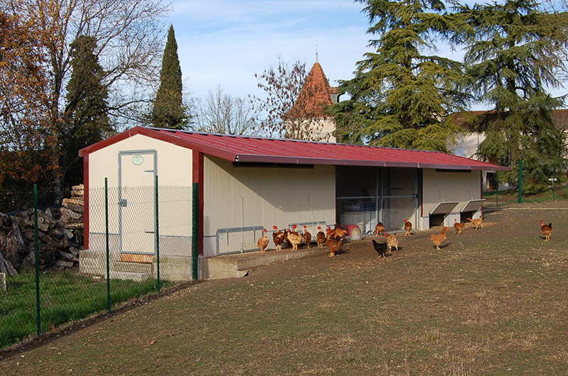 Cabane fixe 15 m² pour élevage poulet